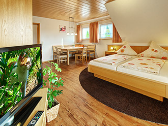 Wohn- und Schlafzimmer mit Doppelbett und Essecke