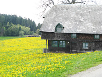 Das Untere Schanzenhäusle vor der Renovierung