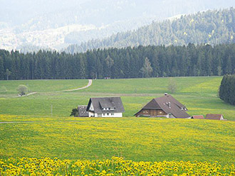 Blick vom Unteren Schanzenhäusle auf unseren Hof