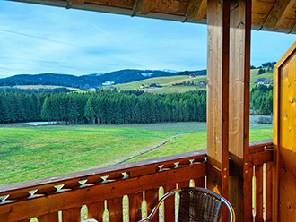 Balkon mit Aussicht zum Feldberg