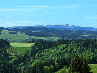 Blick auf den Feldberg