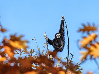 Tierisch was los auf dem Mundenhof bei Freiburg