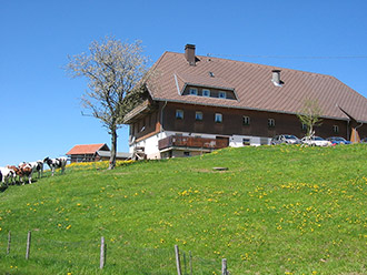 Sommerstimmung auf dem Vogtsjockelshof