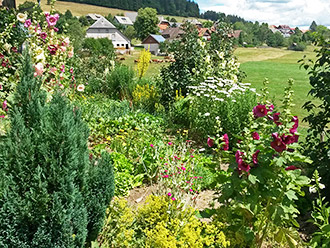 Herrlicher Bauerngarten