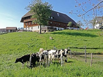 Blick auf den Vogtsjockelshof