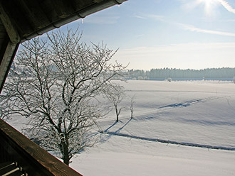 Winterimpression